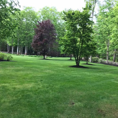 Green Horizons lawn care and maintenance