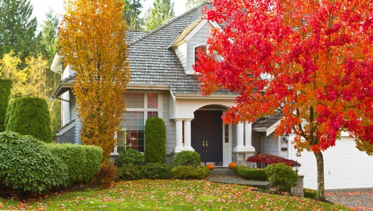 Green Horizons Landscaping Fall Cleanup