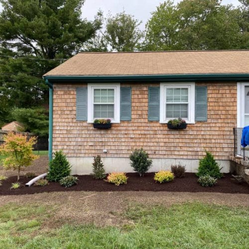 Green Horizons Landscaping Foundation Planting and Mulch