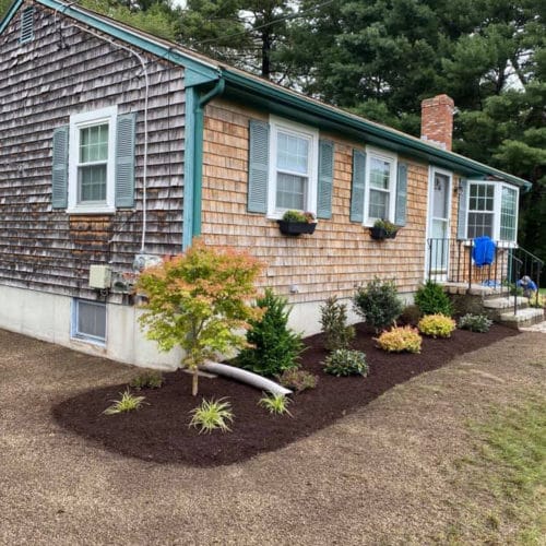 Green Horizons Landscaping Foundation Planting and Mulch