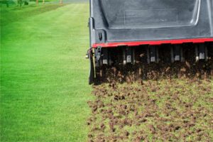 Green Horizons Landscaping power aerator for a healthy lawn