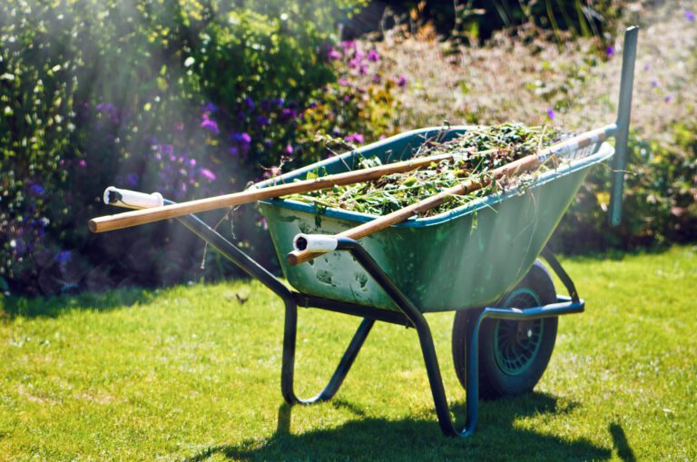 Green Horizons Landscaping spring cleanup - 5 tips
