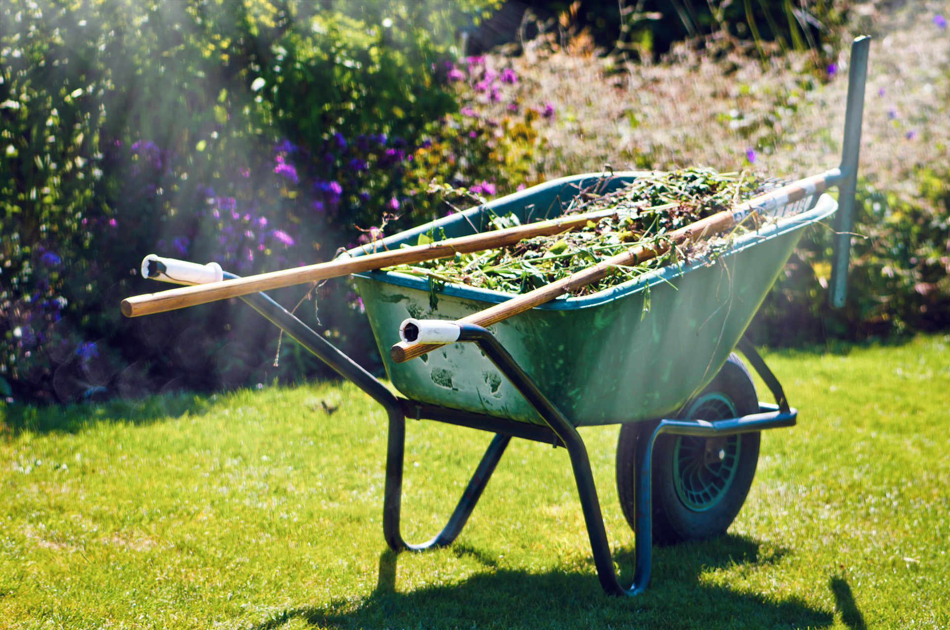 Green Horizons Landscaping spring cleanup - 5 tips