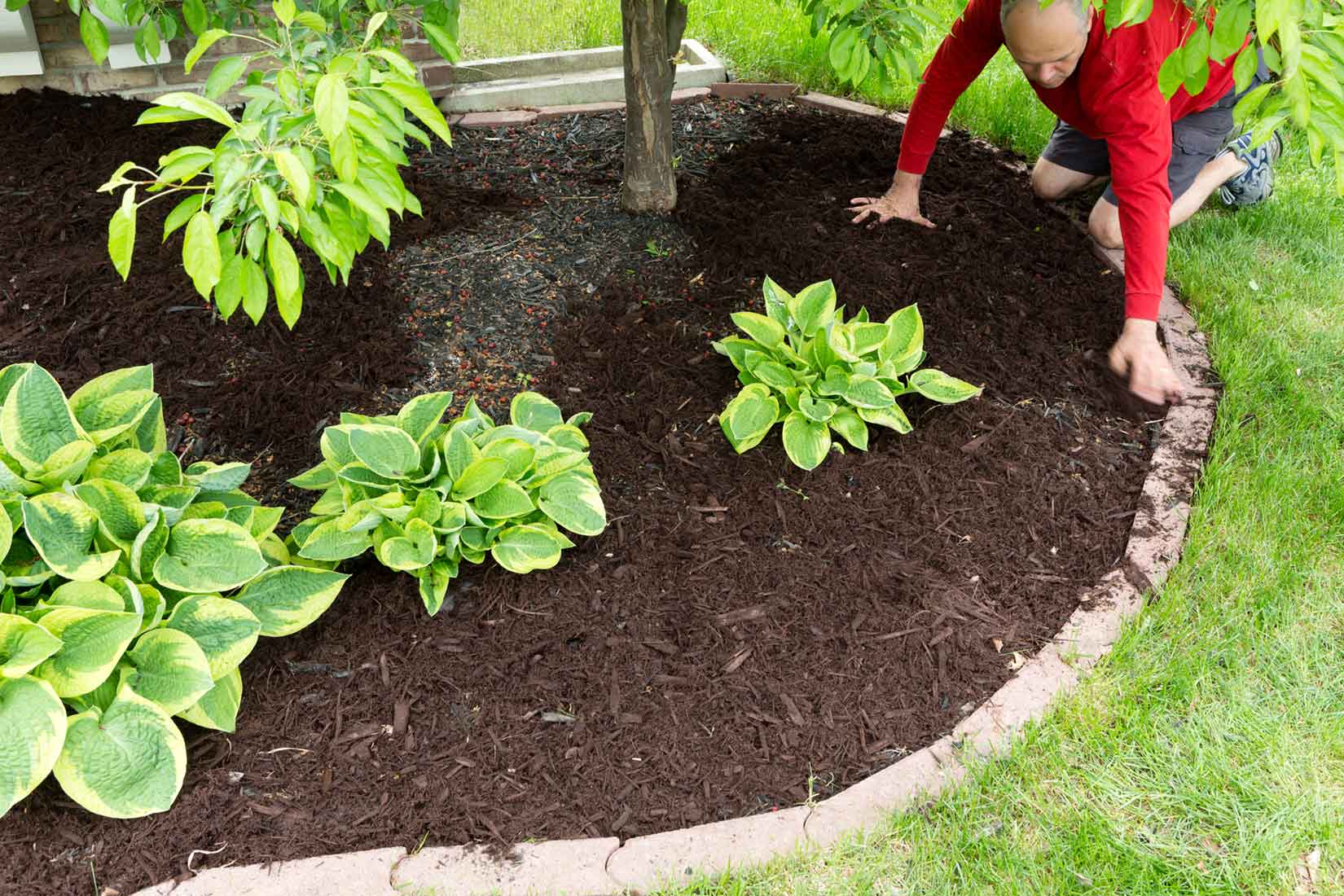 mulching and spring cleanups by Green Horizons